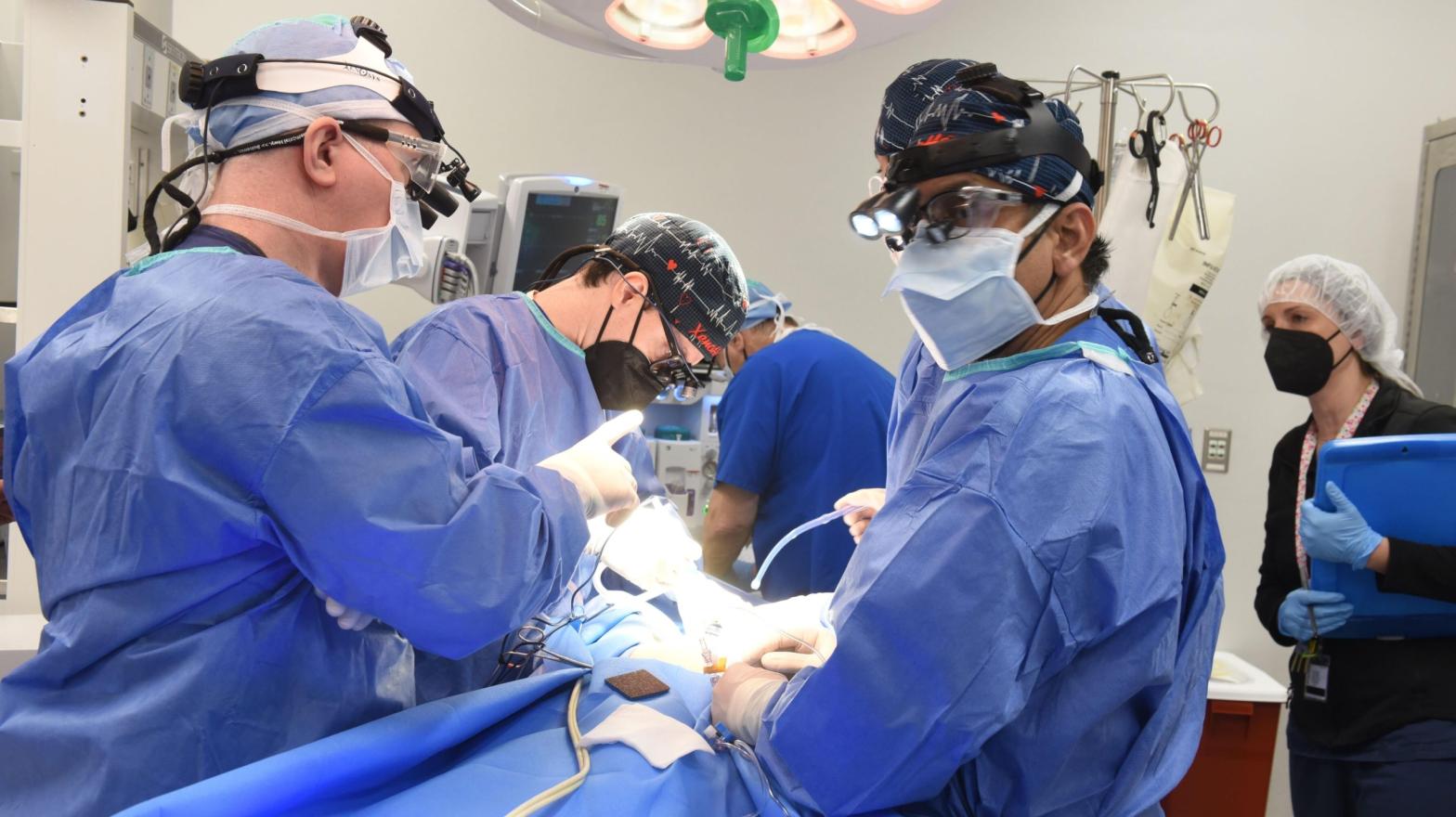 Surgeons performing the emergency procedure on January 7, 2022.  (Photo: Tom Jemski (UMSOM Public Affairs))