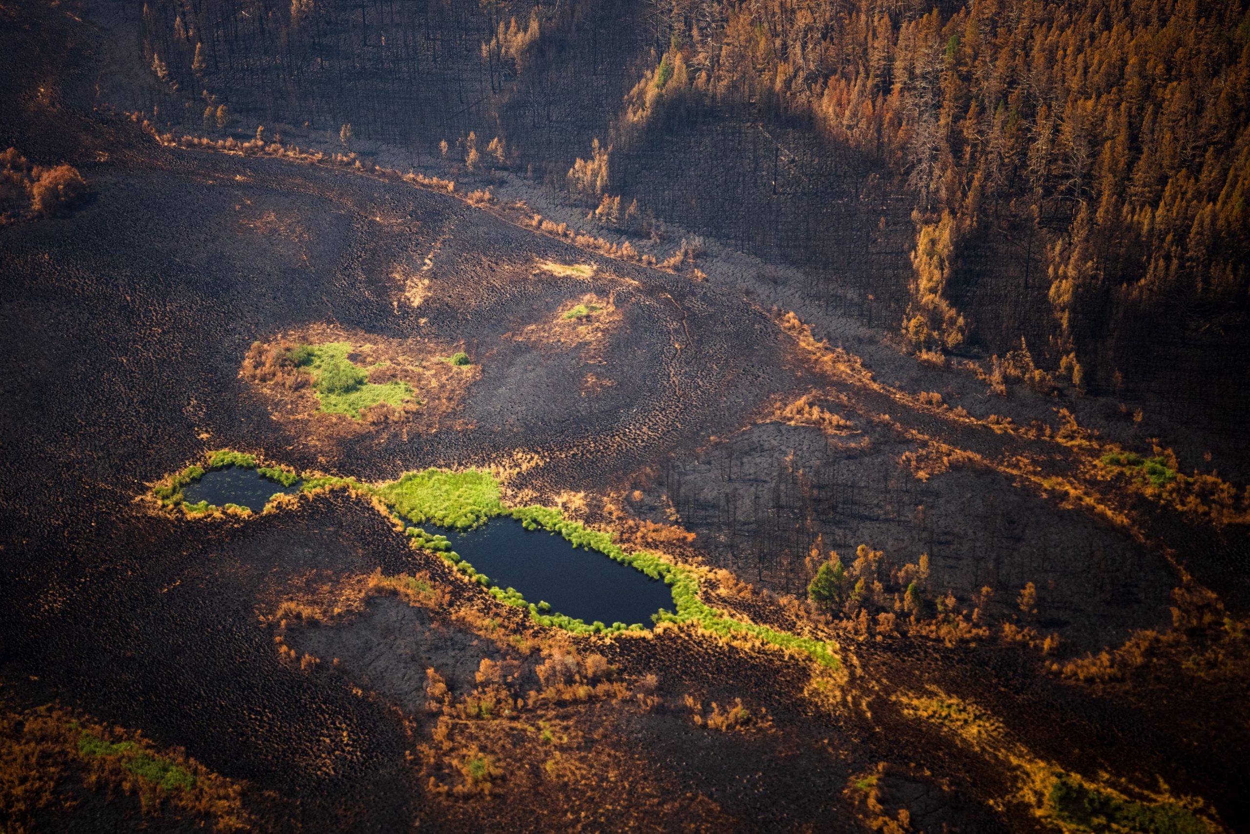 This aerial picture taken on July 27, 2021, shows a burned forest at Gorny Ulus area west of Yakutsk, in the republic of Sakha, Siberia.  (Image: Dimitar Dilkoff, Getty Images)