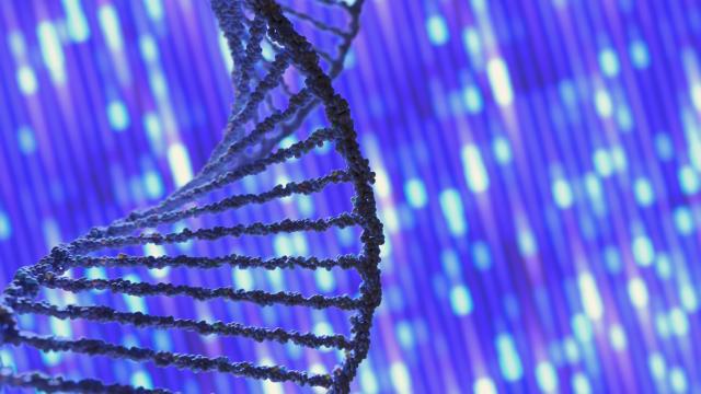 We Will Soon Know the Genome Sequencing of Every Complex Species on Earth