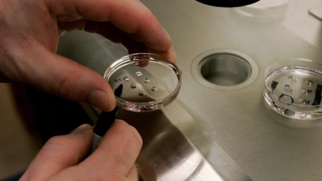 COVID-19 Vaccines Don’t Affect Chances of Getting Pregnant Through IVF, Fertility Clinic Study Finds