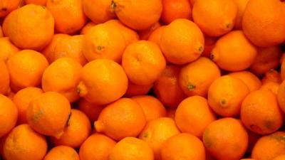 How Many Oranges Can You Actually Eat Before the Vitamin C Will Kill You?