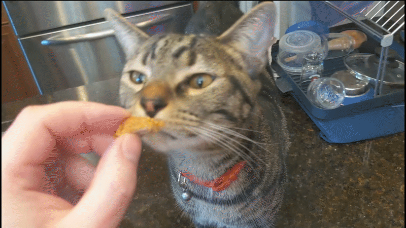 Larry approved. (Gif: Gizmodo)