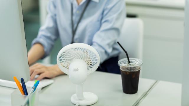 9 Desk Fans to Bring the Chill While You’re Working This Summer