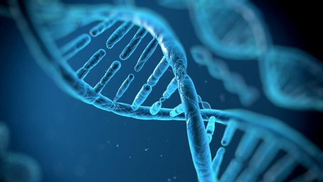 Aussie Researchers Have Developed a Tool To Analyse DNA 30 Times Faster