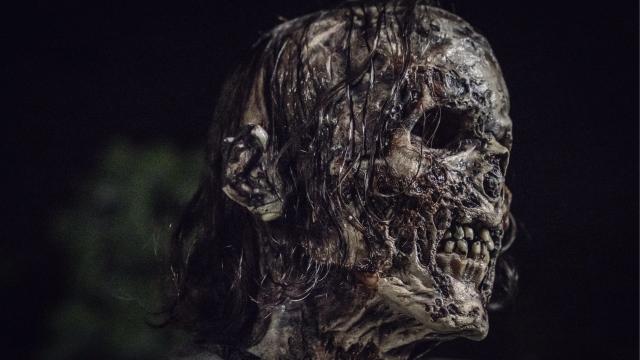 Tales of the Walking Dead Grabs a Shockingly Impressive Cast