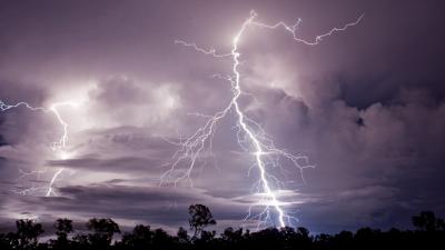 What Actually Happens When Lightning Strikes a Tree?