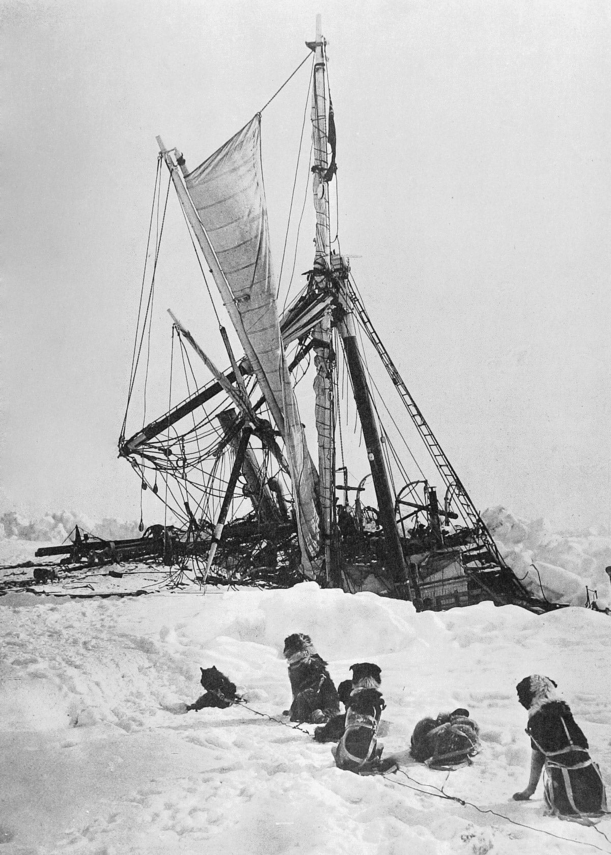 Endurance just prior to plunging through the Antarctic ice in November 1915.  (Photo: Royal Grographic Society, Fair Use)