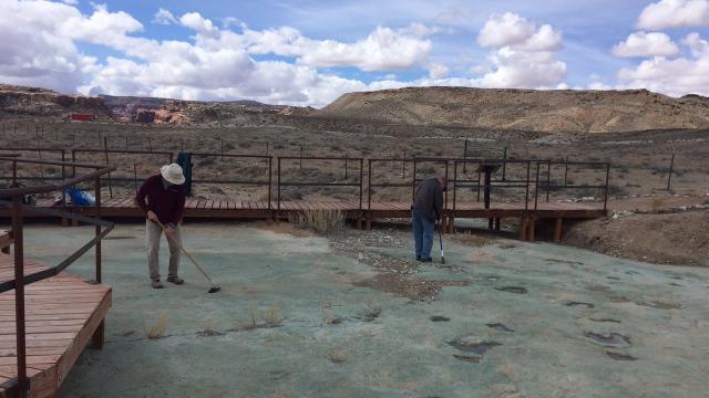Utah Officials Drove Over Important Fossil Site With a Backhoe, Paleontologists Say