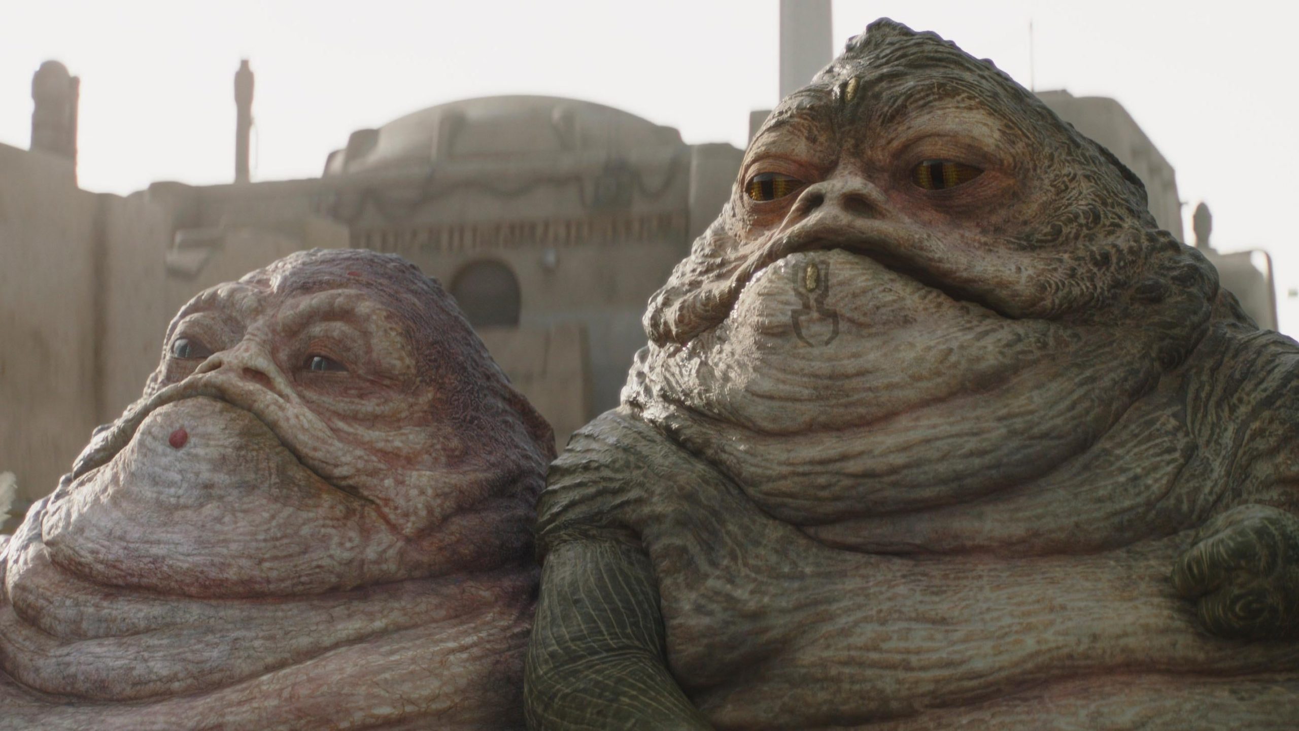 We love these two chonksters.  (Image: Lucasfilm)