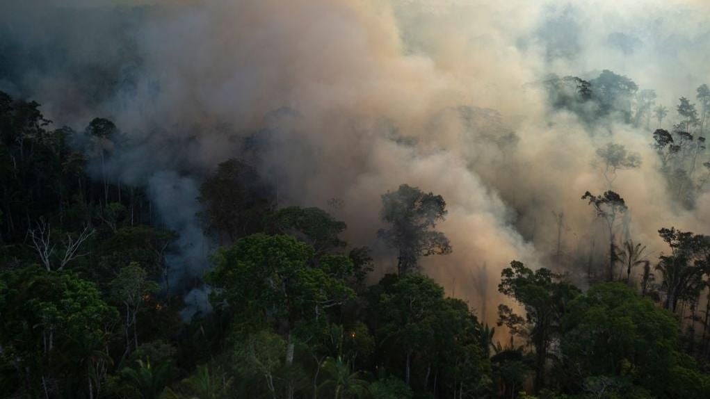 Aerial view showing smoke rising from an illegal fire at the Amazonia rainforest in Labrea, Amazonas state, Brazil, on September 15, 2021. (Photo: MAURO PIMENTEL/AFP, Getty Images)