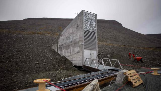 The ‘Doomsday’ Seed Vault Is Taking in New Samples
