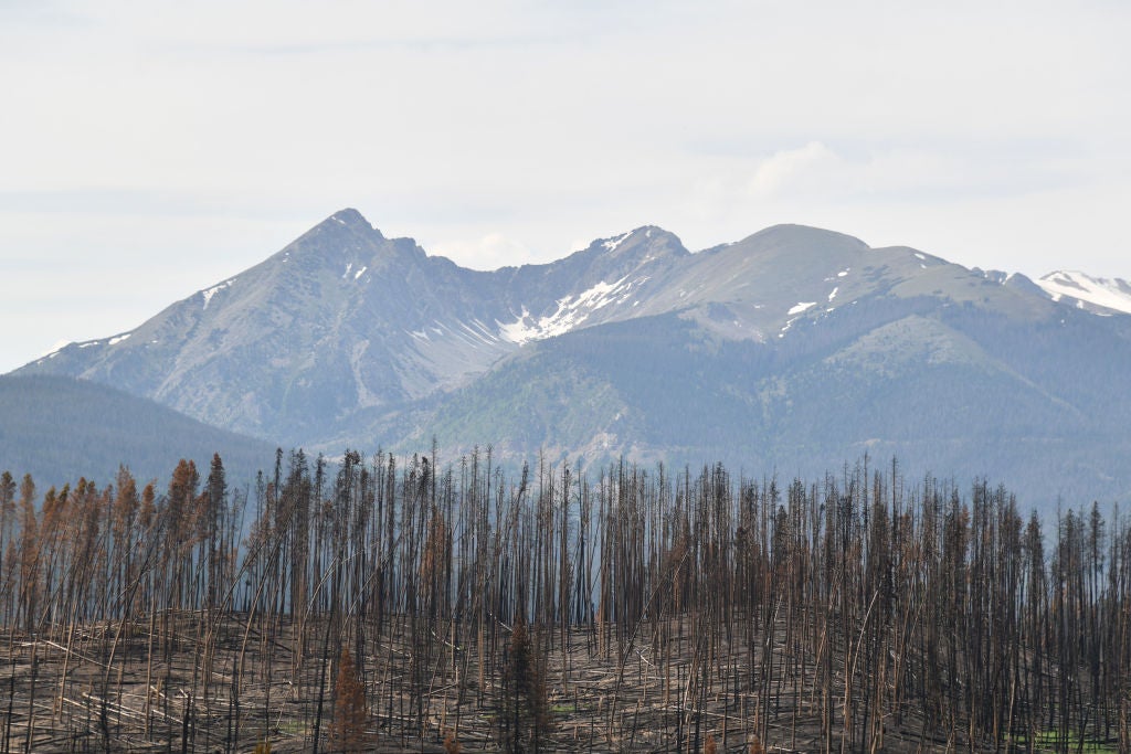Burned trees by Troublesome fire at Rocky Mountain National Park, Colorado (Photo: Hyoung Chang/MediaNews Group/The Denver Post, Getty Images)