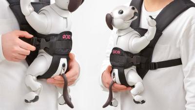 You Can Finally Carry Your Robot Dog Around Like a Baby