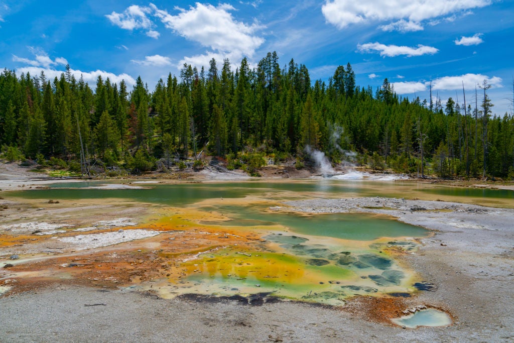  General views of Crackling Lake in the Norris Geyser Basin at Yellowstone National Park. (Photo: AaronP/Bauer-Griffin/GC Images, Getty Images)