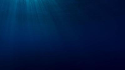 Unknown Deep Sea Creatures Are Holding Onto a Ton of Carbon