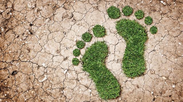 There’s a Big Flaw When Using Environmental Footprint Calculators That We Need to Address