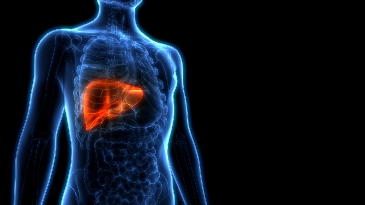diseased male liver