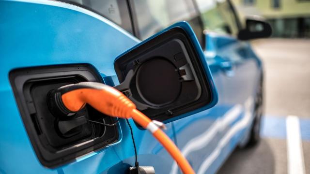 Victoria Goes Ahead With Adding Electric Vehicles to Its Government Fleet