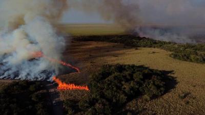 Wildfires Are Blazing Through Argentina