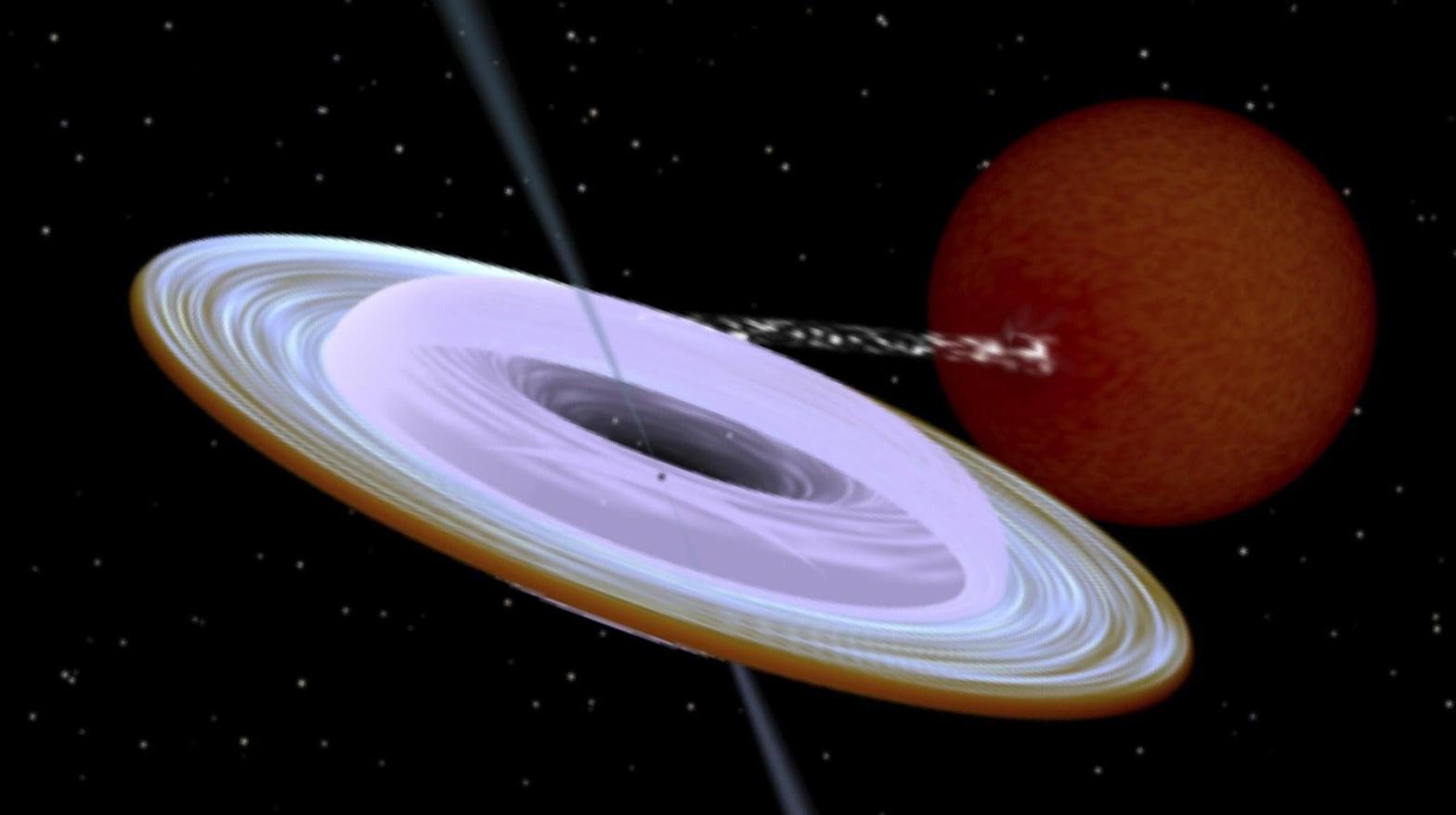 An artist's impression of the binary system, with the angled black hole projecting jets from within the accretion disk of material surrounding it. (Illustration: Rob Hynes)