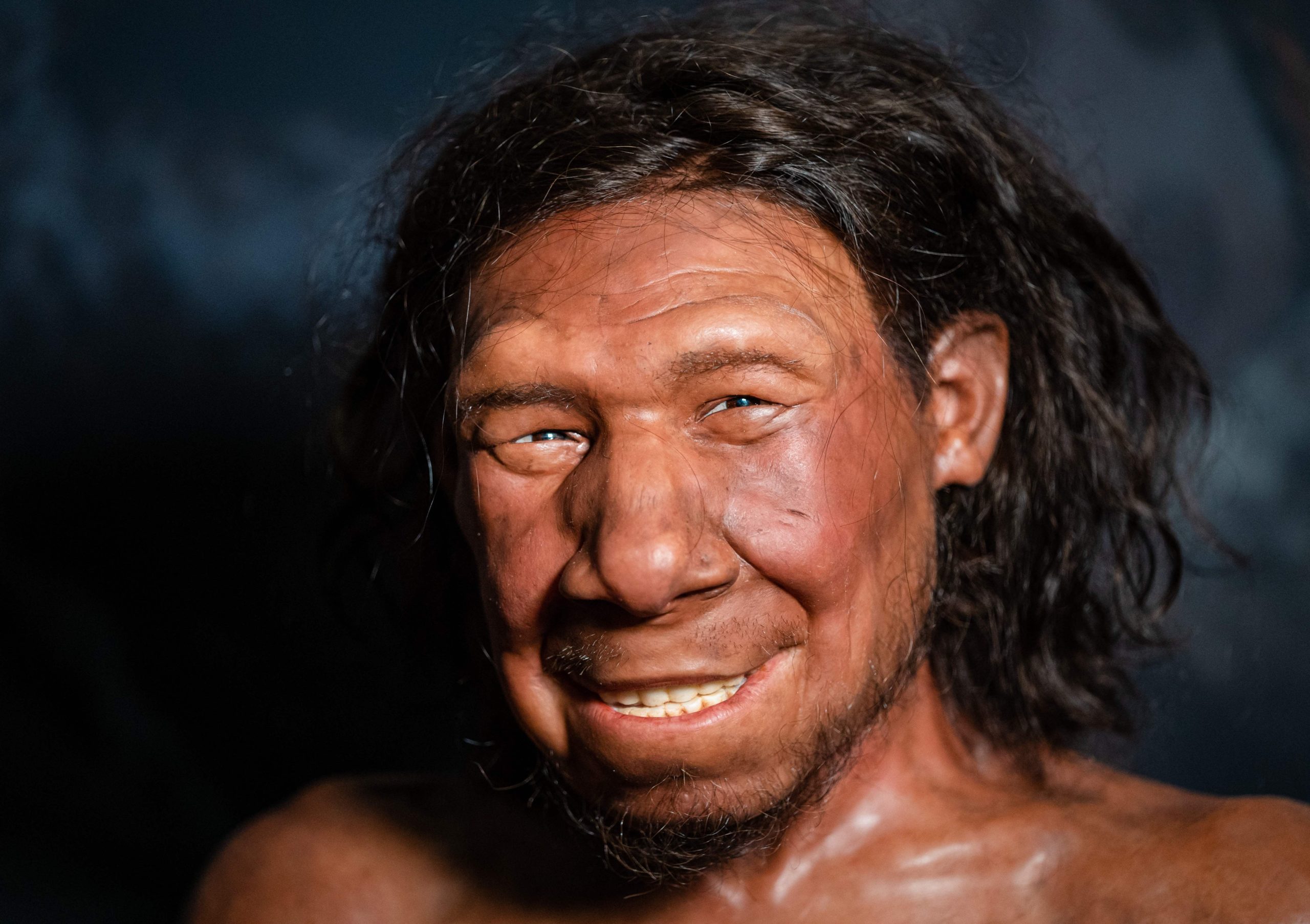 A reconstruction of the face of a Neanderthal at the National Museum of Antiquities in Leiden, Netherlands. (Photo: Bart Maat / ANP / AFP, Getty Images)