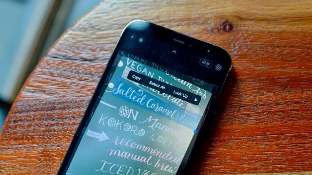 How to Stop Your iPhone Camera From Recognising Text Everywhere