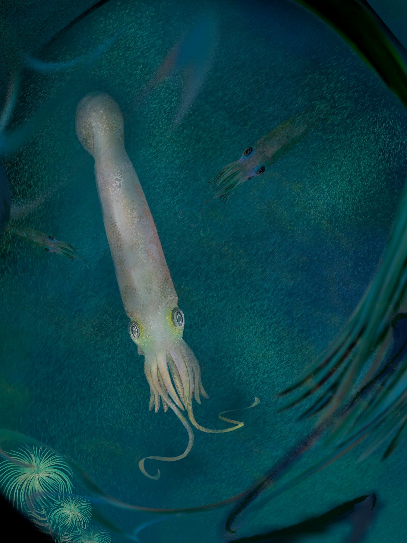An artist's conception of S. bideni in life, with two longer arms and eight stubbier ones. (Illustration: © K. Whalen)