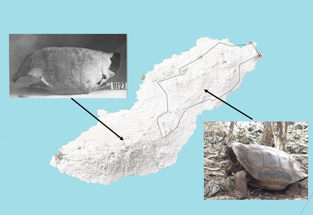 San Cristóbal Island, showing the locations of the two species of giant tortoise.  (Image: James Gibbs, Galápagos Conservancy)