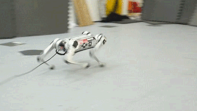 MIT’s Robotic Cheetah Taught Itself How to Run and Set a New Speed Record in the Process