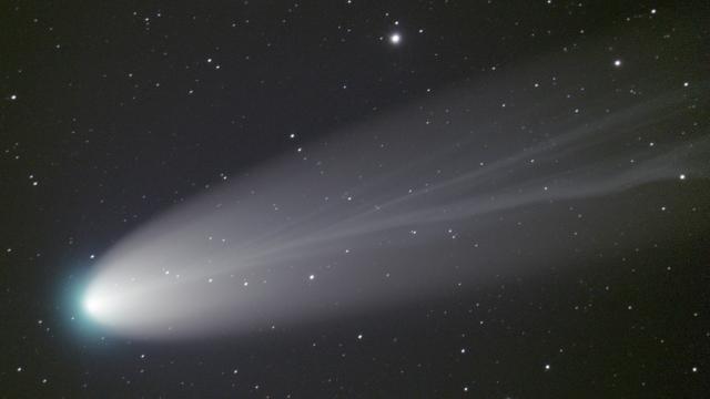 RIP Comet Leonard, a Bright Visitor in a Dark Time