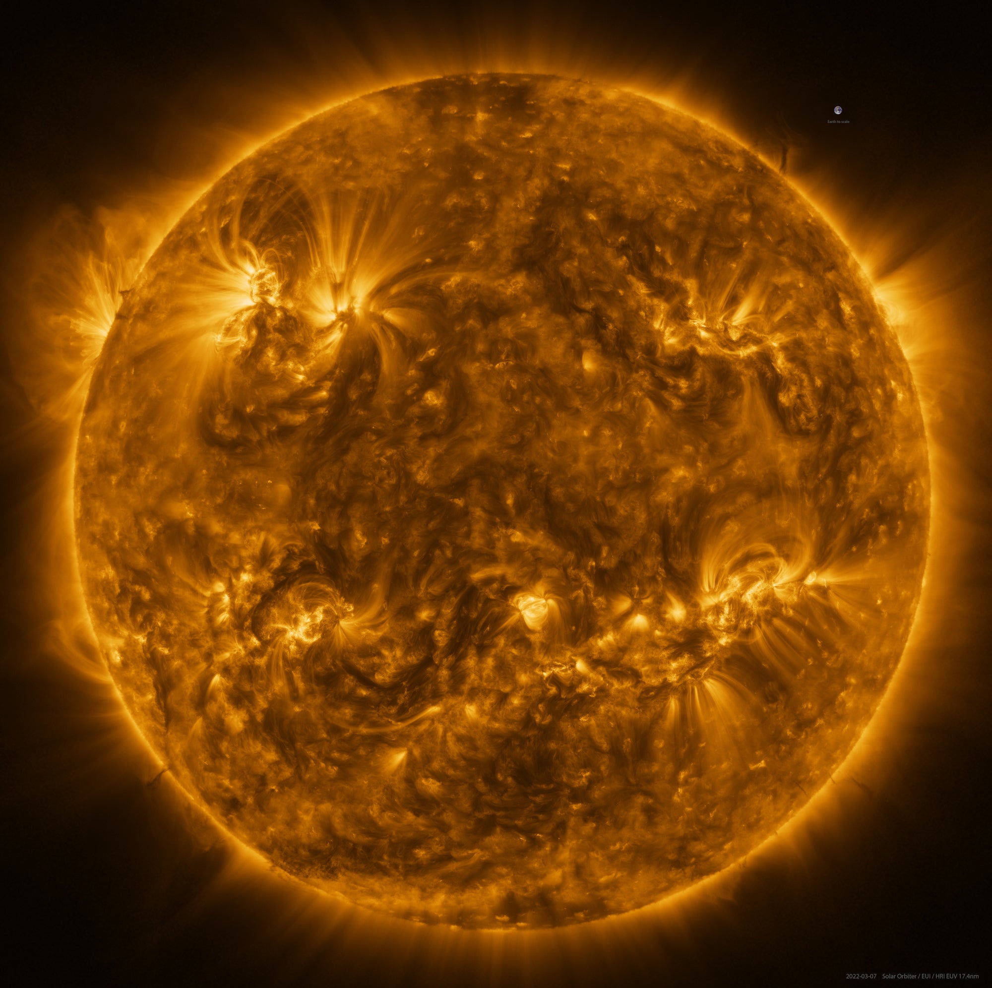The mosaic image, showing Sun's entire disc. (Image: ESA & NASA/Solar Orbiter/EUI team; Data processing: E. Kraaikamp (ROB))