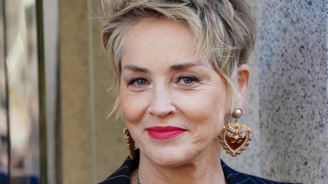 Sharon Stone Returns to Comic Book Villainy for Blue Beetle