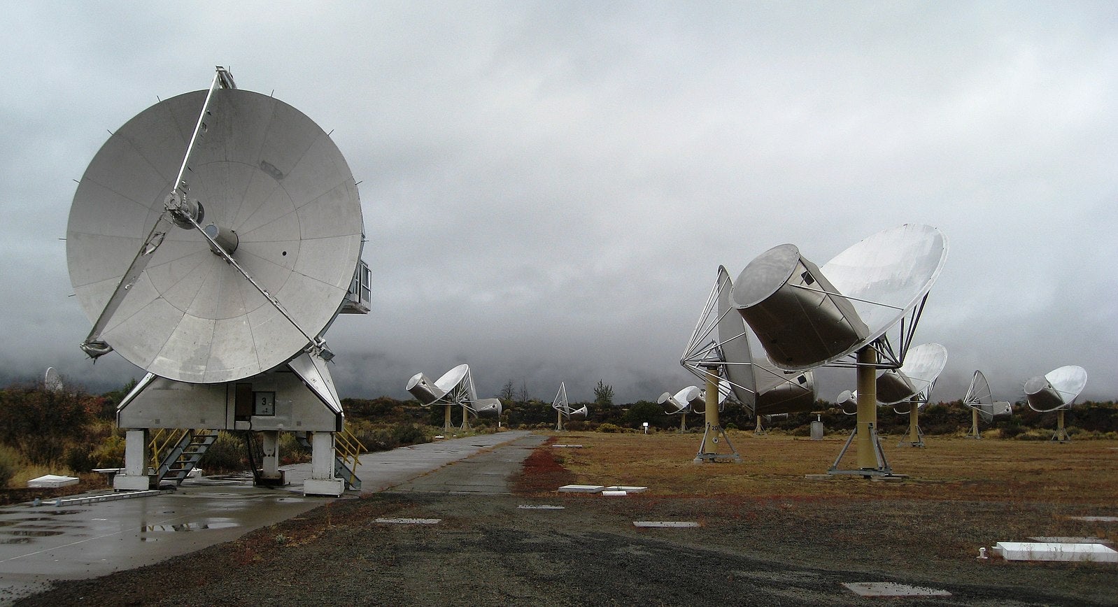 The Allen Telescope array in northern California.  (Image: Allen Telescope Array)