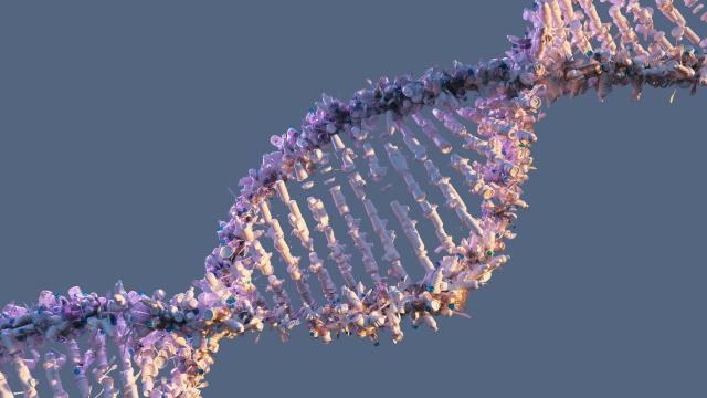 Scientists Have Finally Mapped the Whole Human Genome