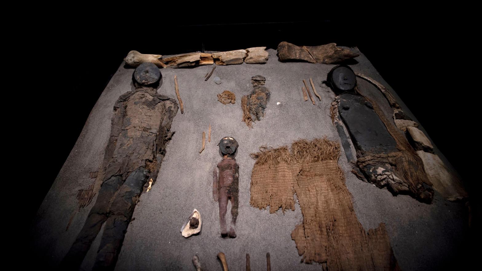 Chinchorro mummies on display at the San Miguel de Azapa archaeological museum in Camarones, Chile. (Photo: Martin BERNETTI / AFP, Getty Images)