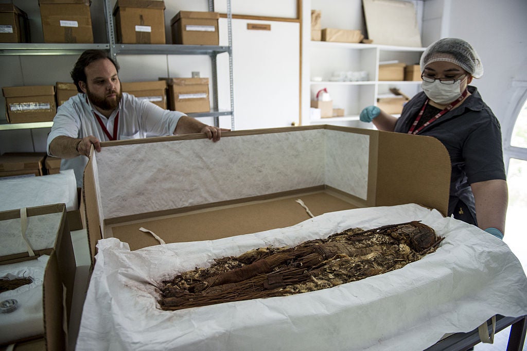 Chilean anthropologist Veronica Silva shows one of the mummies from the ancient Chinchorro culture at the National Museum of Natural History in Santiago, on December 16, 2016. (Photo: MARTIN BERNETTI/AFP, Getty Images)