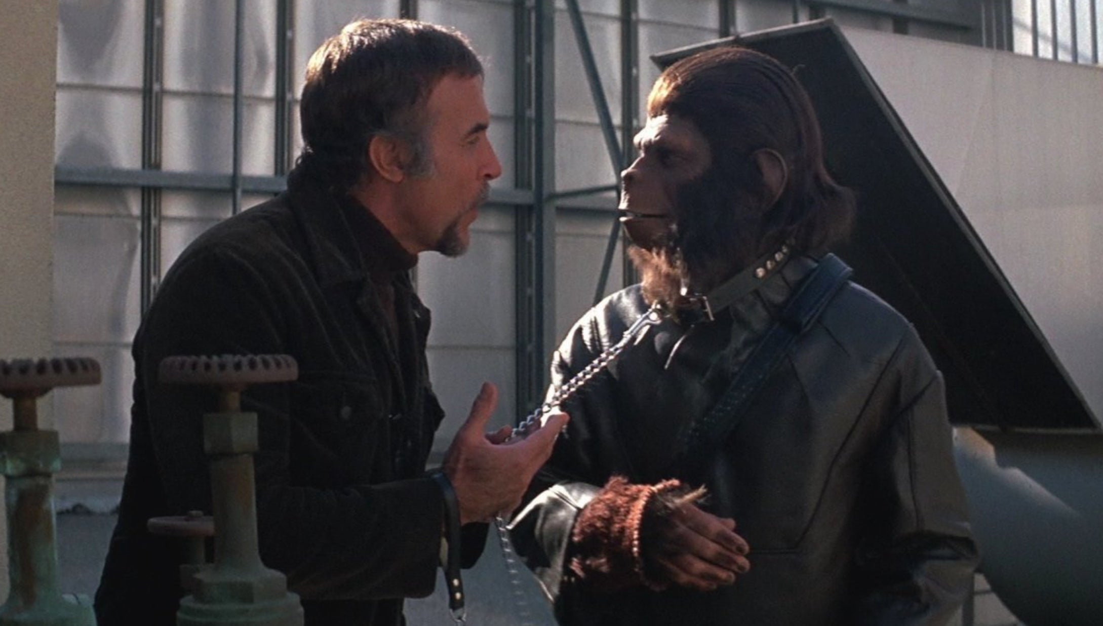 Caesar's in trouble in Conquest of the Planet of the Apes. (Image: Fox)