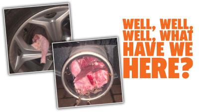 Here’s What Happens if Your Exhaust Gets Filled With Lamb Chops