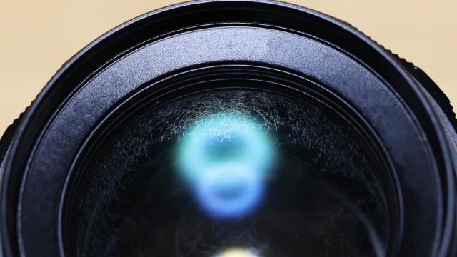 Bet You Didn’t Know Your Camera Lens Is a Magnet for Mould