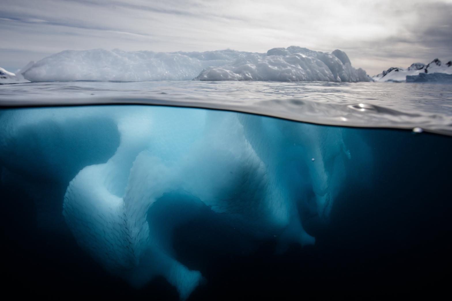 An underwater photo of an iceberg in the Southern Ocean offshore the Antarctic Peninsula. (Image: Brett Monroe Garner, Getty Images)