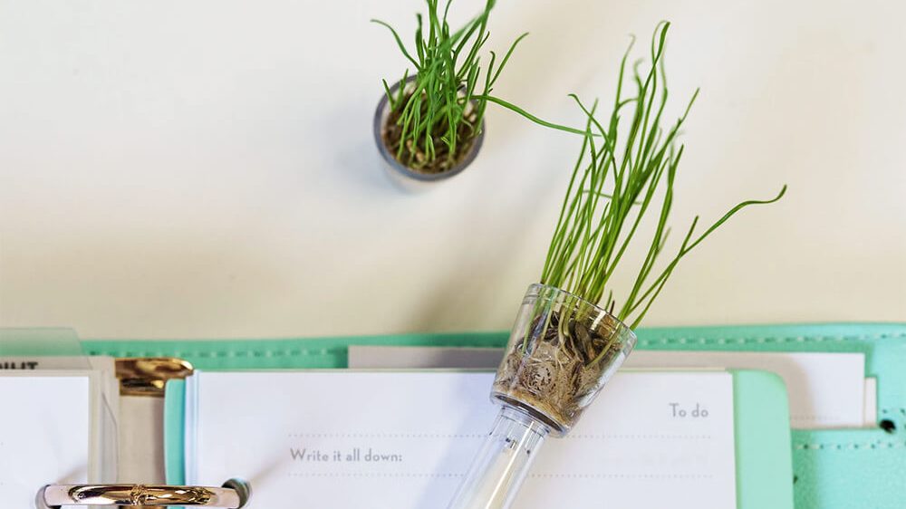 Pen Grow is a fun desk gadget for plant-lovers