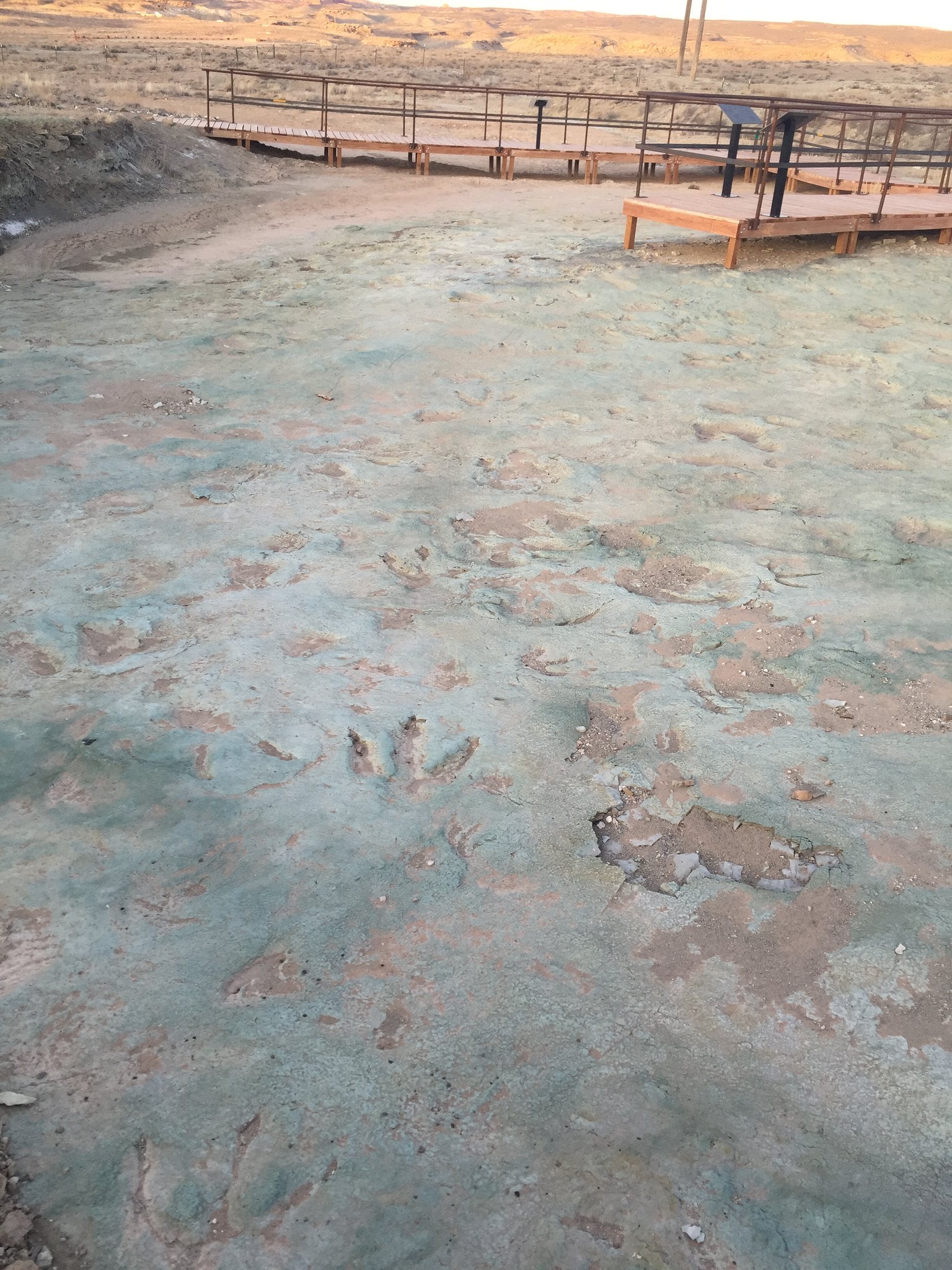 Dinosaur Tracks Damaged After Construction Crew Drove Over Fossil Site, Report Finds