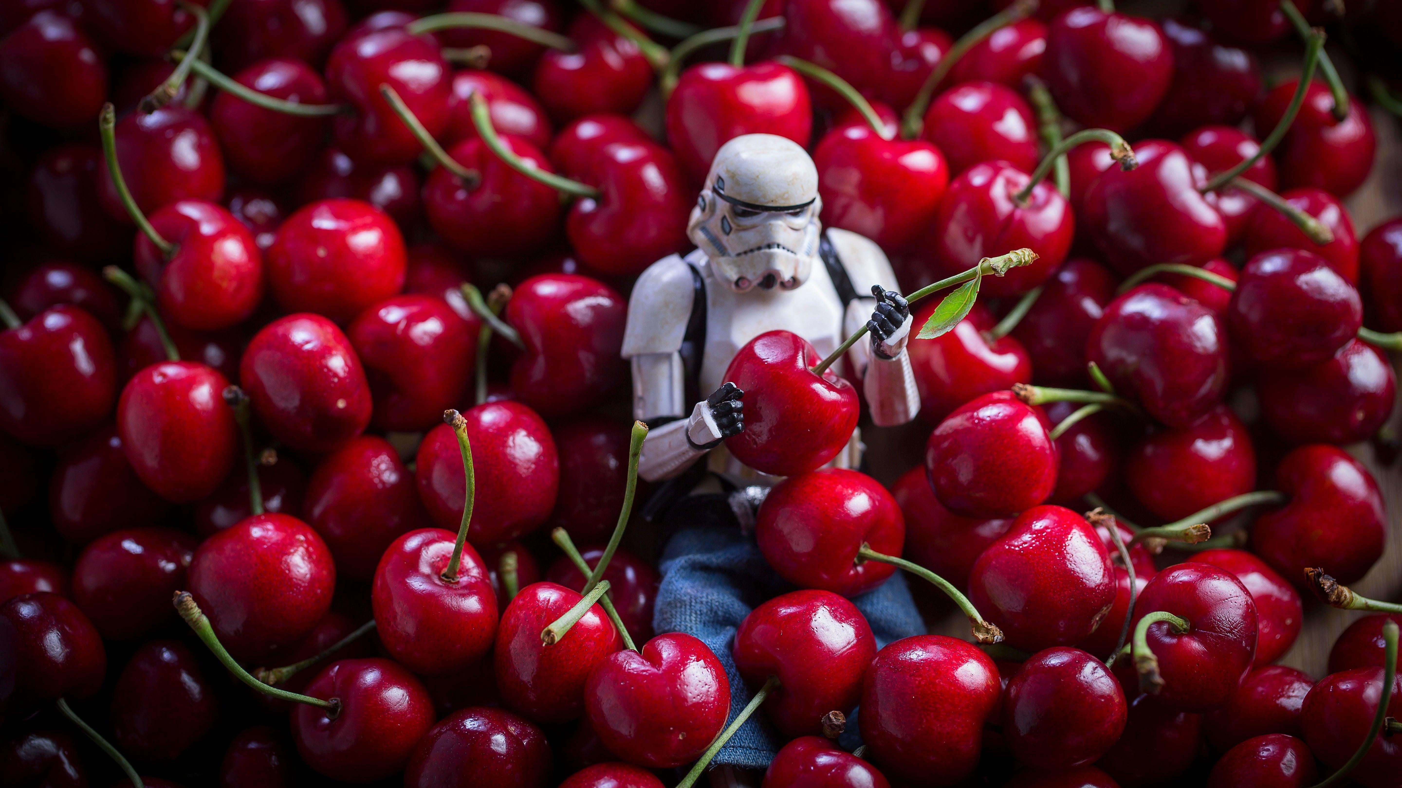 8 Delightful Pictures of Eric, One of the Most Famous Star Wars Toys on Instagram