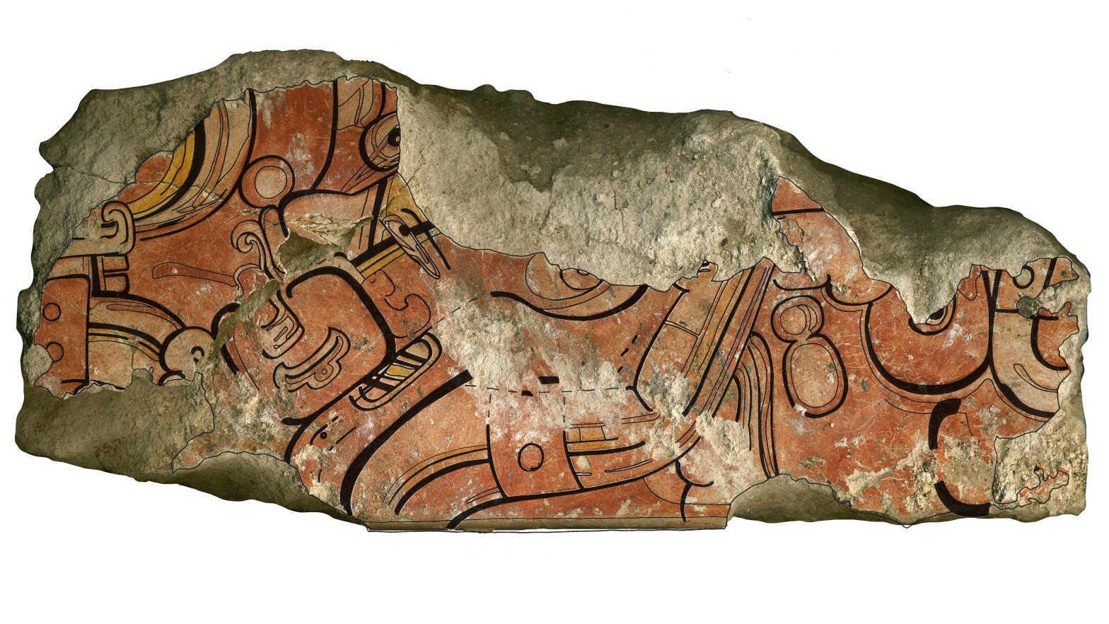 A mural fragment depicting a Maya maize god. (Illustration: Heather Hurst.)