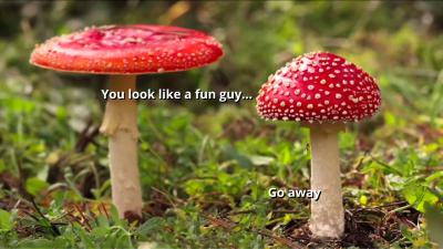 Do Mushrooms Really Use Language to Talk to Each Other?