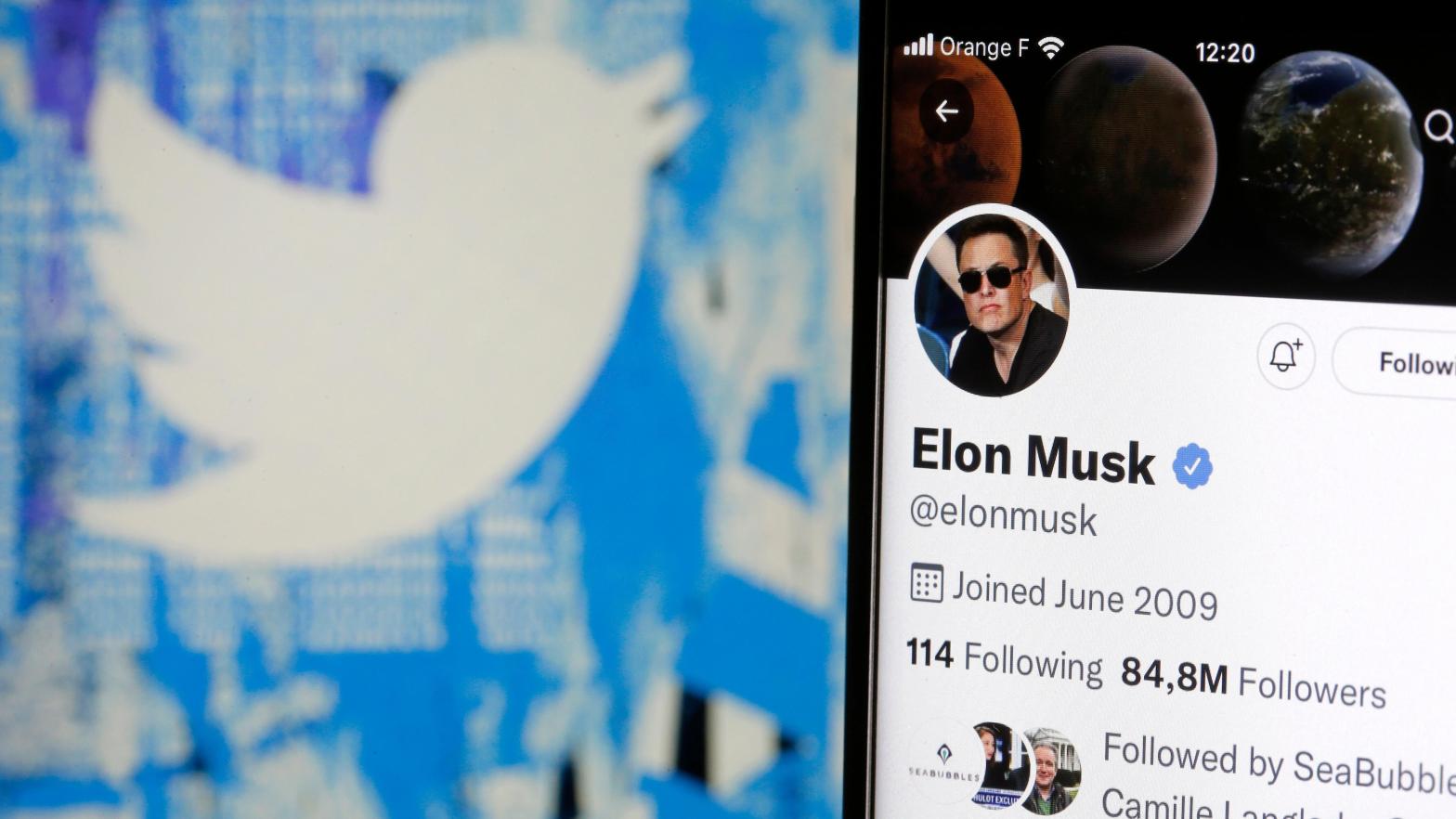 Musk's takeover of Twitter has apparently sparked some follower count fluctuations.  (Image: Chesnot / Contributor, Getty Images)