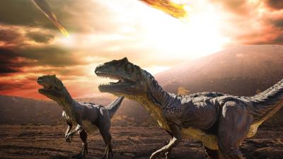 This Dinosaur ‘Graveyard’ May Offer a Look at Their Final Day on Earth