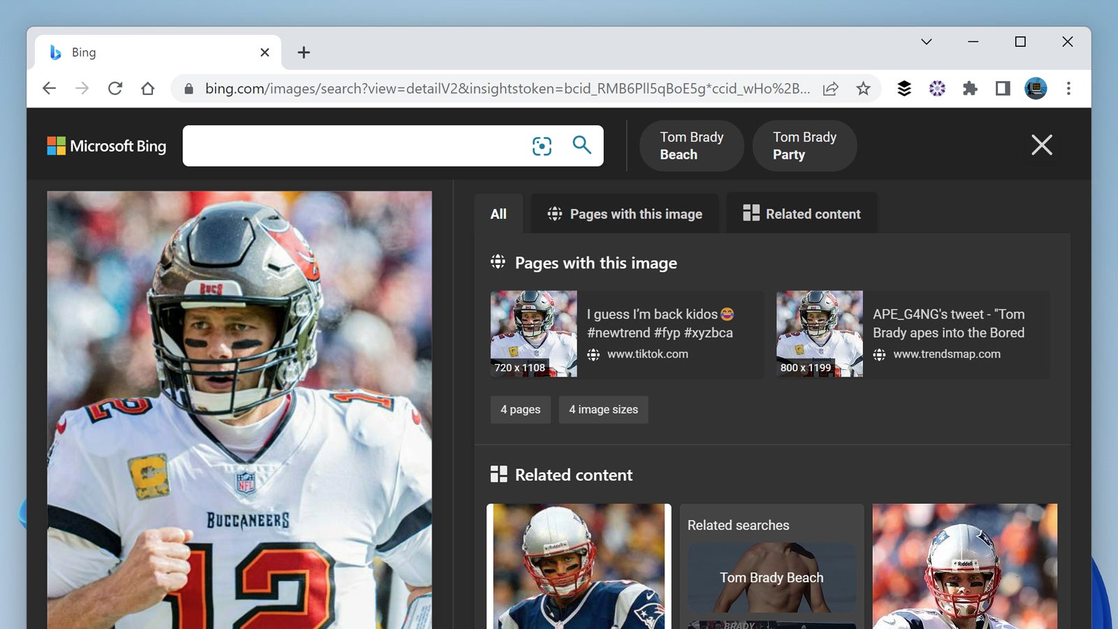 Screenshot: Bing Visual Search