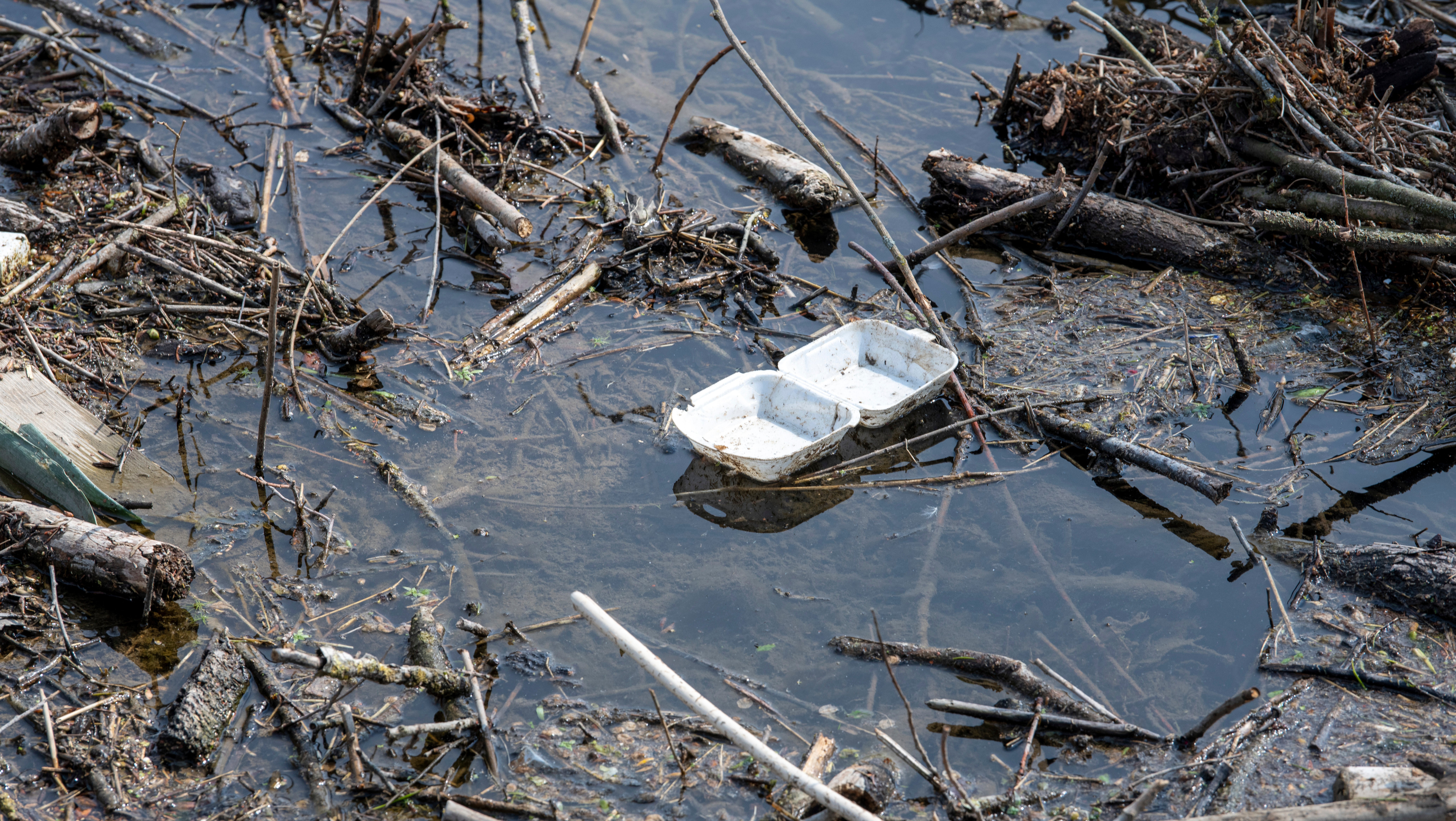 A Styrofoam container floats on the Danube in Germany. (Photo: Stefan Puchner/picture-alliance/dpa, AP)