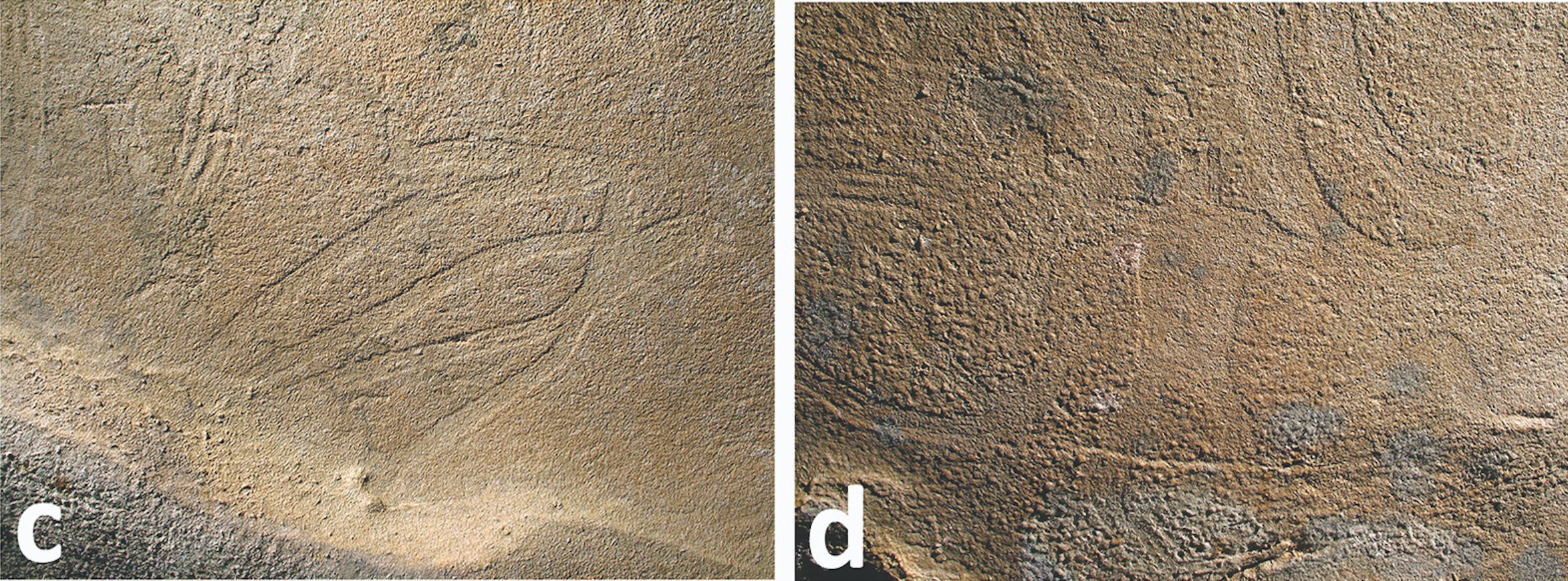 Small glyphs of a bird (left) and an anthropomorphic figure (right) in the glyph chamber. (Photo: A. Cressler)